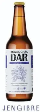 Kombucha DAR Jengibre